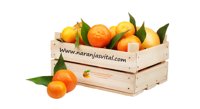 Naranjas Vital Gandia