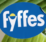Fyffes Iberica S.L.U.