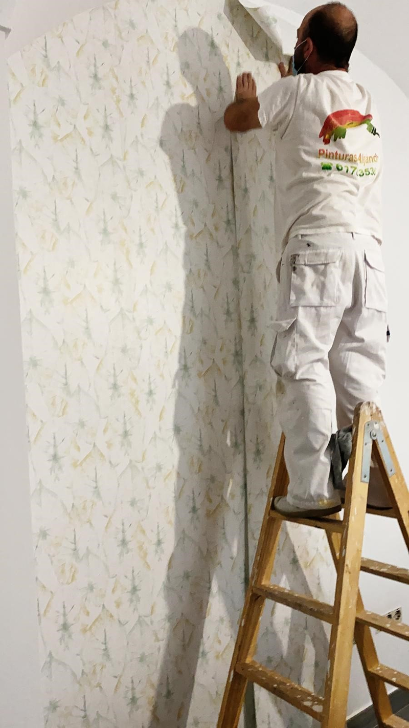 Pinturas Alejandro 10