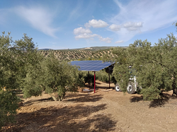 Galería de imágenes