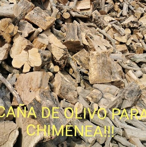 Le&ntilde;as Bruno 5