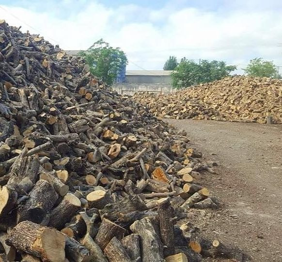 Le&ntilde;as Bruno 3