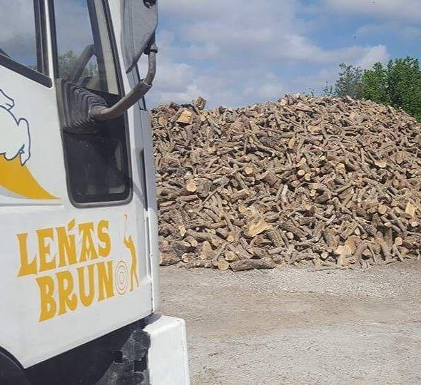 Le&ntilde;as Bruno 8