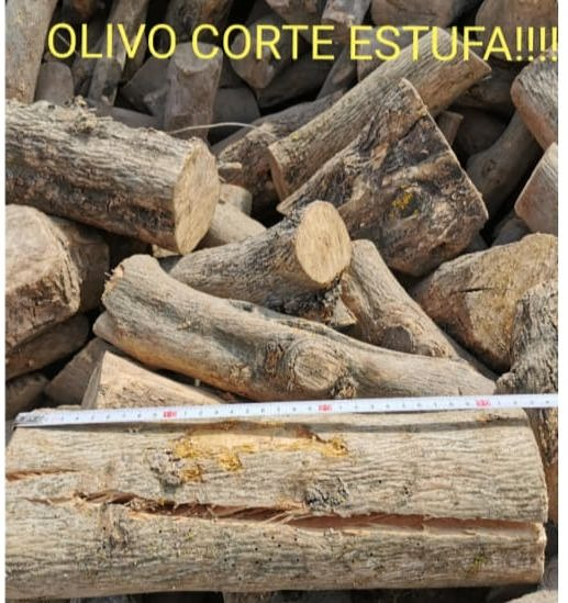 Le&ntilde;as Bruno 2