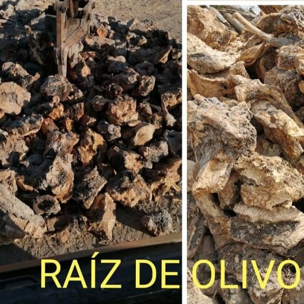 Le&ntilde;as Bruno 14