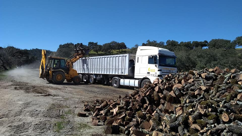 Le&ntilde;as Bruno 9