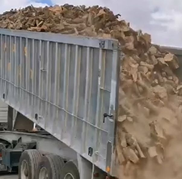 Le&ntilde;as Bruno 11