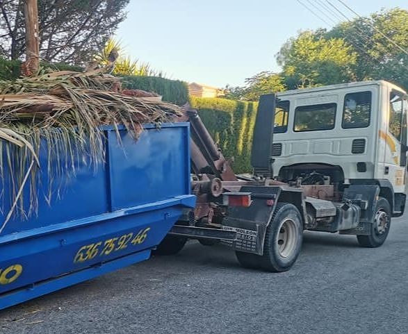 Le&ntilde;as Bruno 12