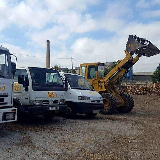 Le&ntilde;as Bruno 6