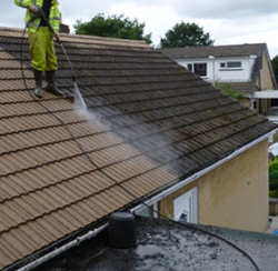 Galería de imágenes