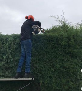VSG Servicios JARDINERIA: EMPRESAS DE SERVICIOS