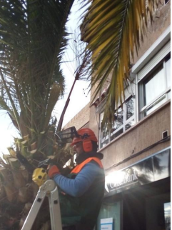 VSG Servicios 5
