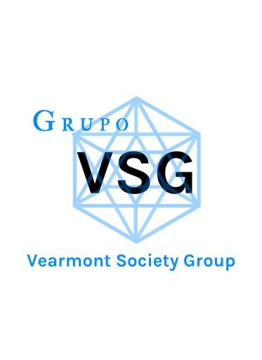 Vsg Servicios