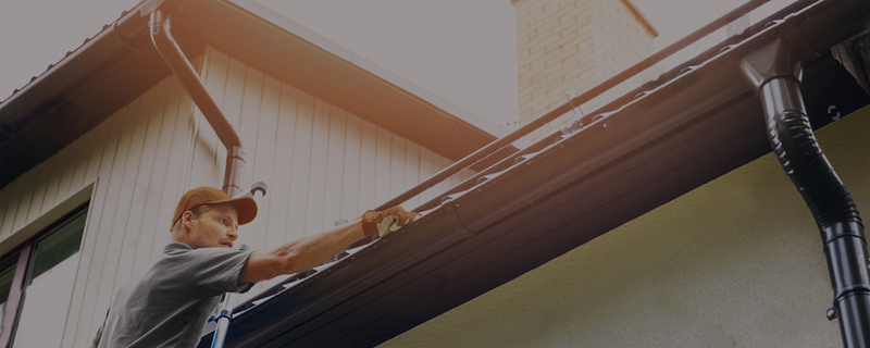 Canalones Larios Granada