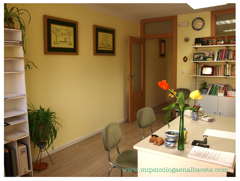Mi psic&oacute;loga en Albacete PSICOLOGOS