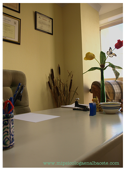 Galería de imágenes