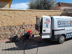 Galería de imágenes