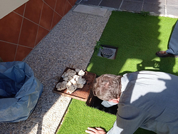 Galería de imágenes