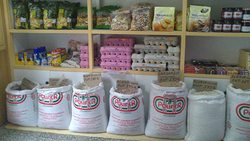Galería de imágenes