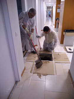 Galería de imágenes