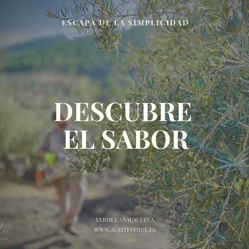 Aceite Verde Ca&ntilde;alacueva 4