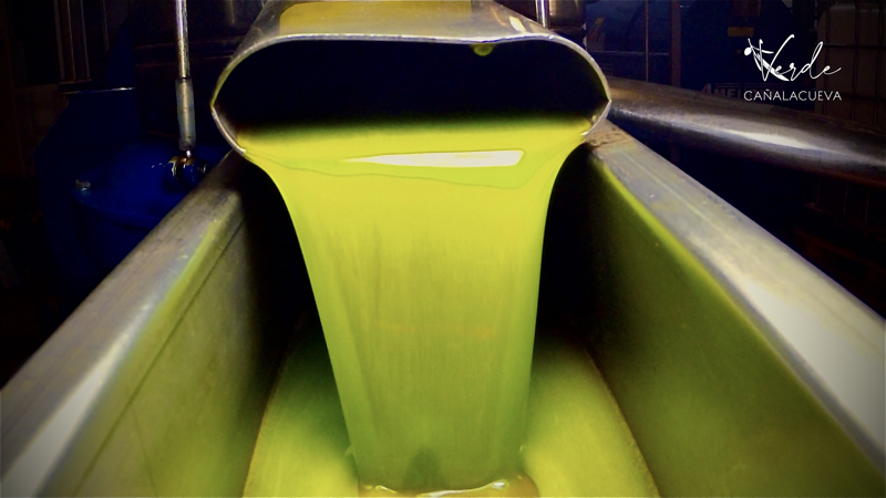 Aceite Verde Ca&ntilde;alacueva Siles