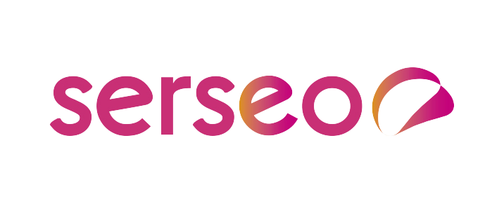 Consultor De Marketing Digital-Serseo Sagunto