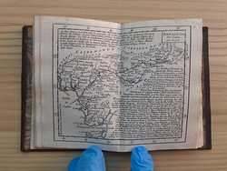 Galería de imágenes