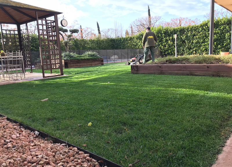 Jardiner&iacute;a Fernandes 4