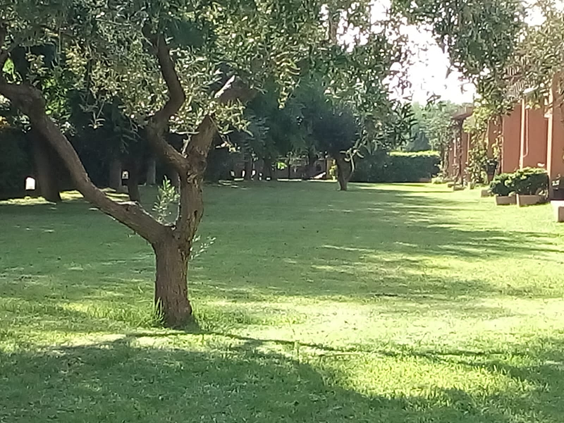 Jardiner&iacute;a Fernandes JARDINERIA: EMPRESAS DE SERVICIOS