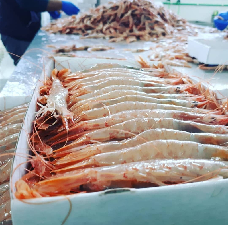 Comprarpescadoonline.Es. 2