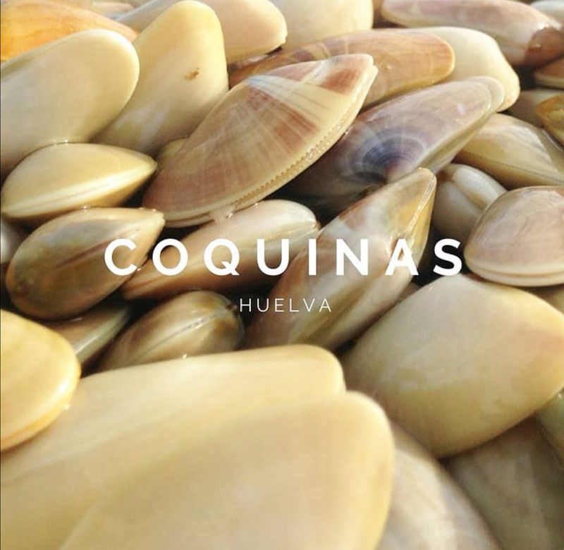 Comprarpescadoonline.Es. 4