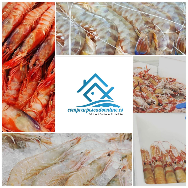Comprarpescadoonline.Es. 6