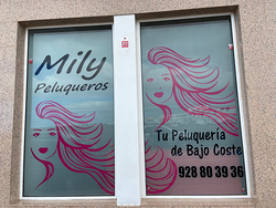 Galería de imágenes