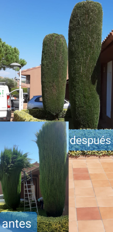 Jannehti Jardineria JARDINERIA: EMPRESAS DE SERVICIOS