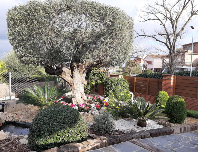 Jannehti Jardineria 2