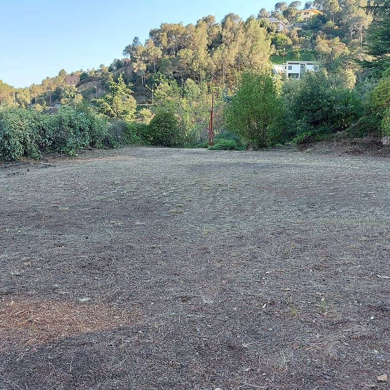 Jannehti Jardineria 8