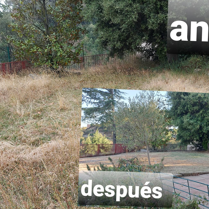 Jannehti Jardineria 10