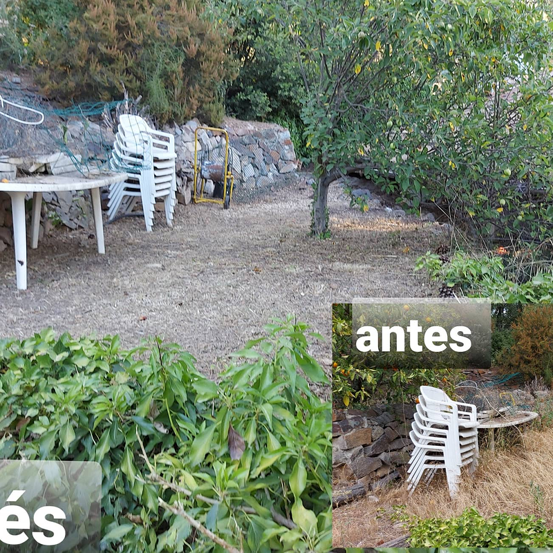 Jannehti Jardineria 7