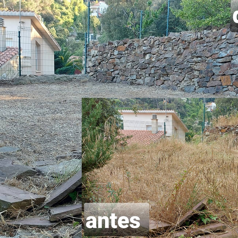 Jannehti Jardineria 6