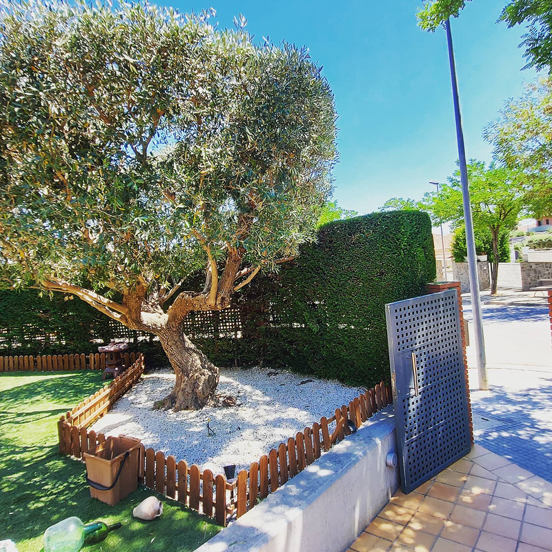 Jannehti Jardineria 13