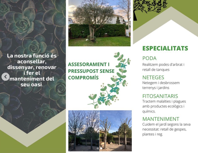 Oasi Jardiners JARDINERIA: EMPRESAS DE SERVICIOS