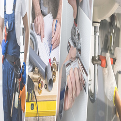 Galería de imágenes