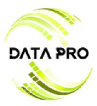 DATAPRO Consulting