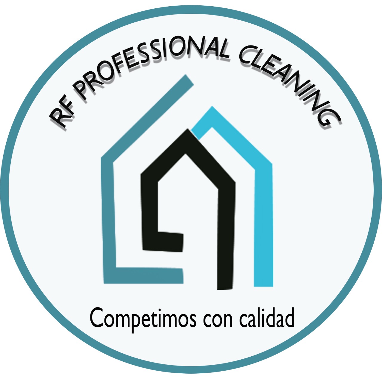 RS PROFESSIONAL CLEANING