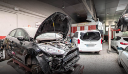 Galería de imágenes