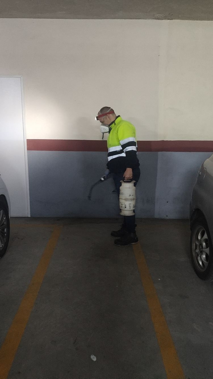 CONTROL DE PLAGAS, MADRID 12