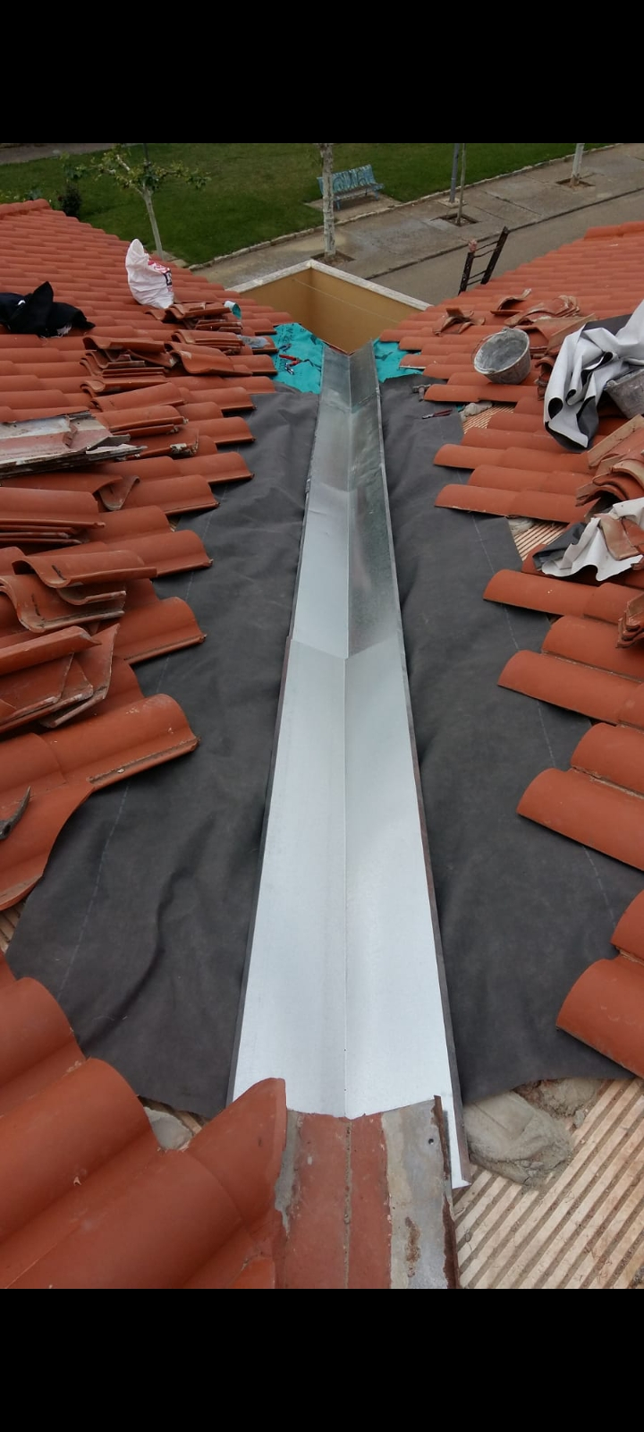 Tejados Luis Adrian 4