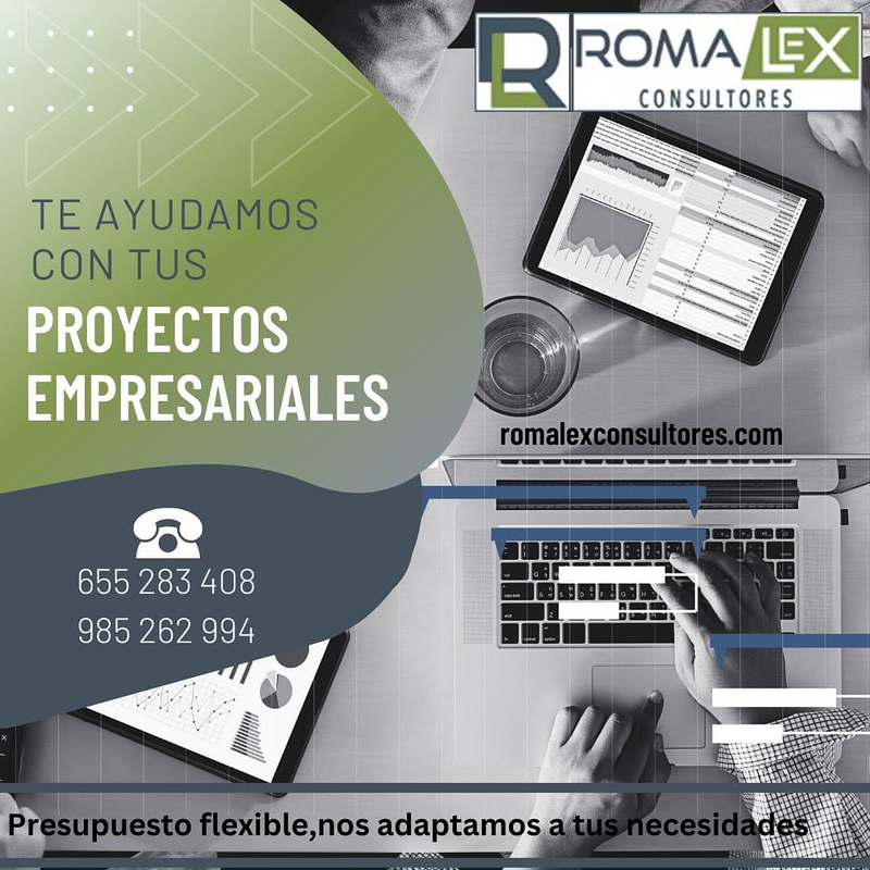 Romalex Consultores 13