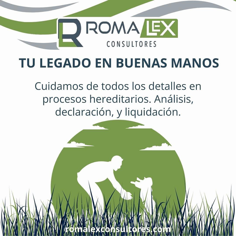 Romalex Consultores 7